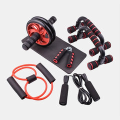 Ab Roller With Mat - DryoShop